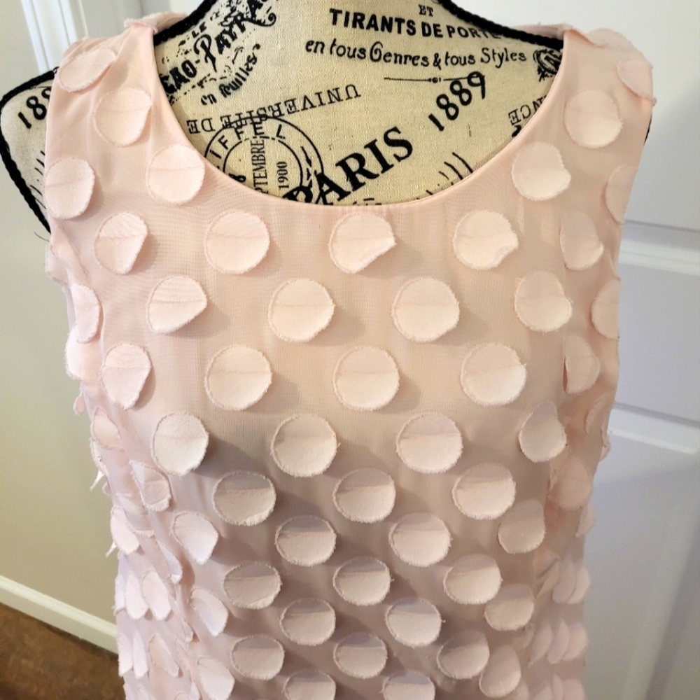 Blush color Dress
